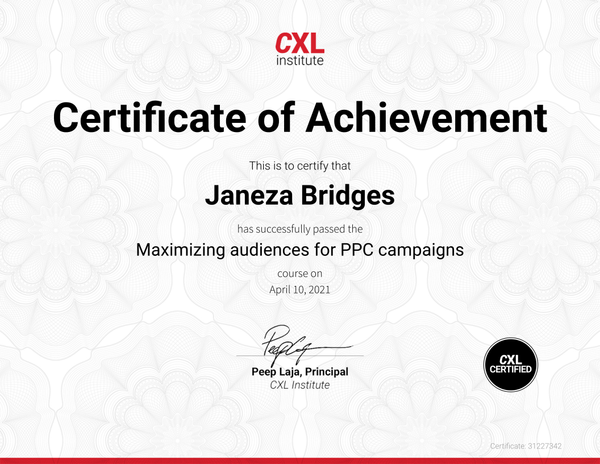 Maximizing audiences for your PPC campaigns