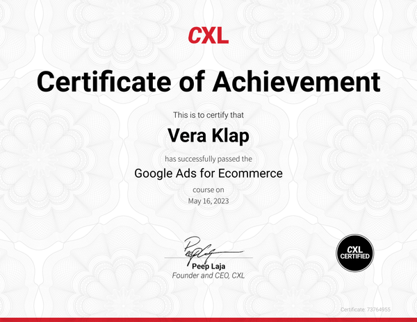 Google Ads for Ecommerce – 2022
